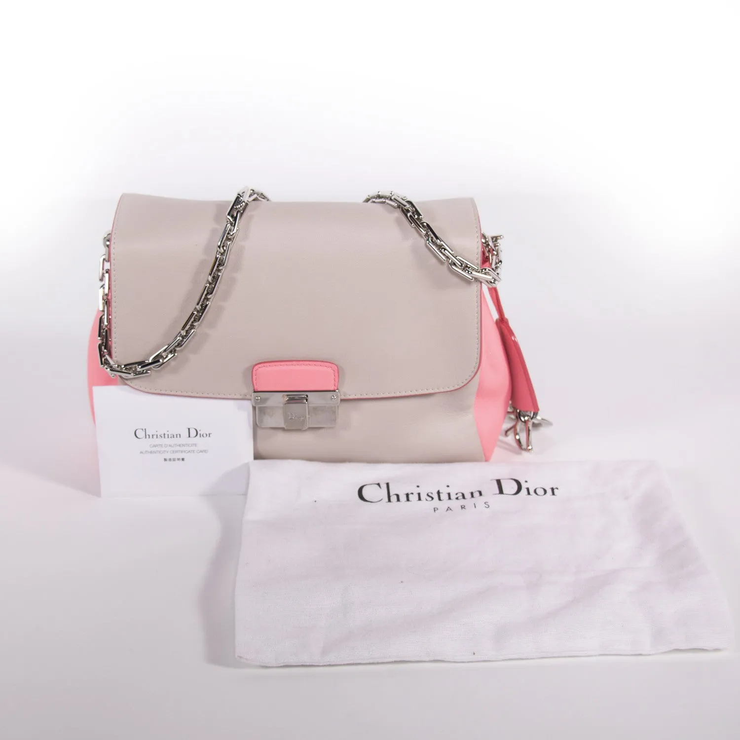 Christian Dior Diorling Flap Bag