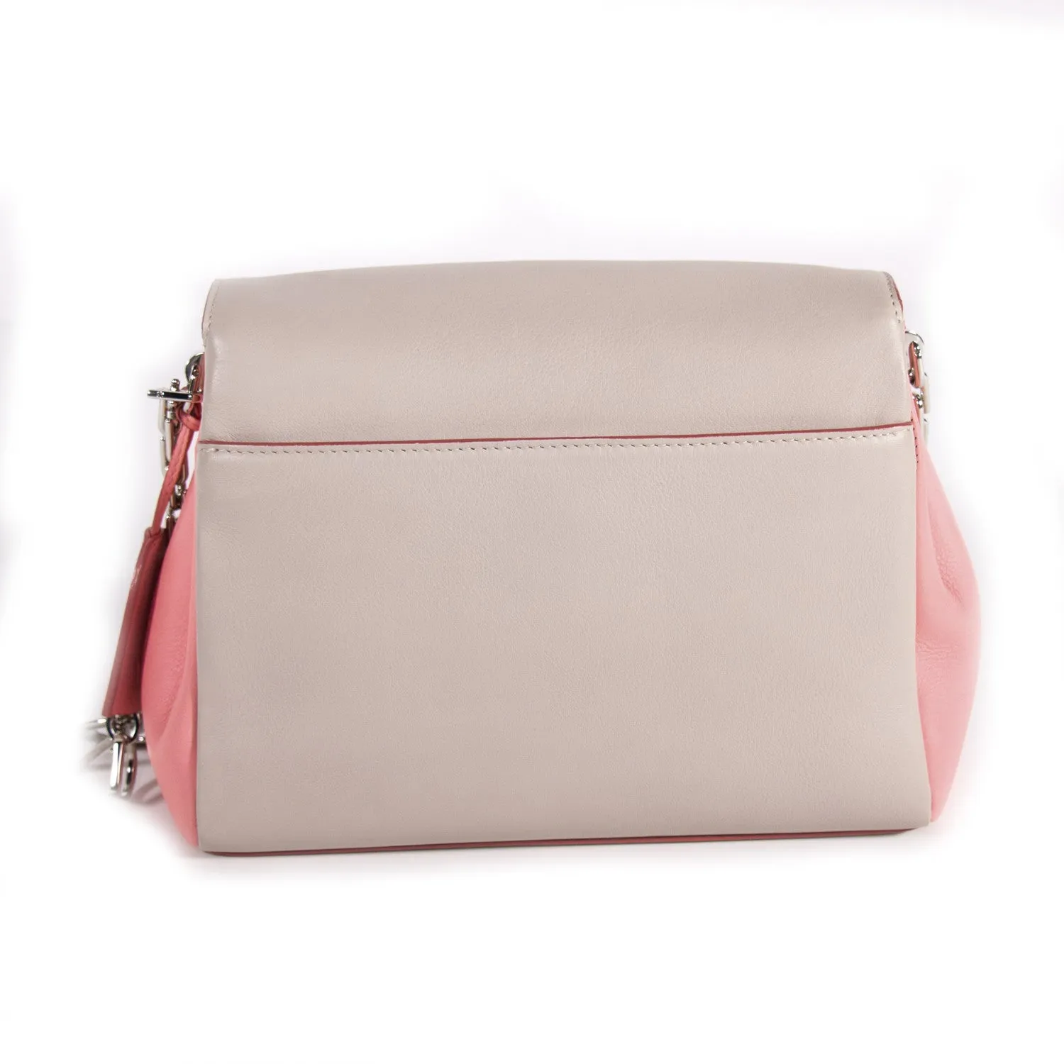 Christian Dior Diorling Flap Bag