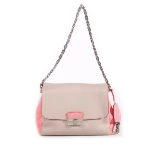 Christian Dior Diorling Flap Bag