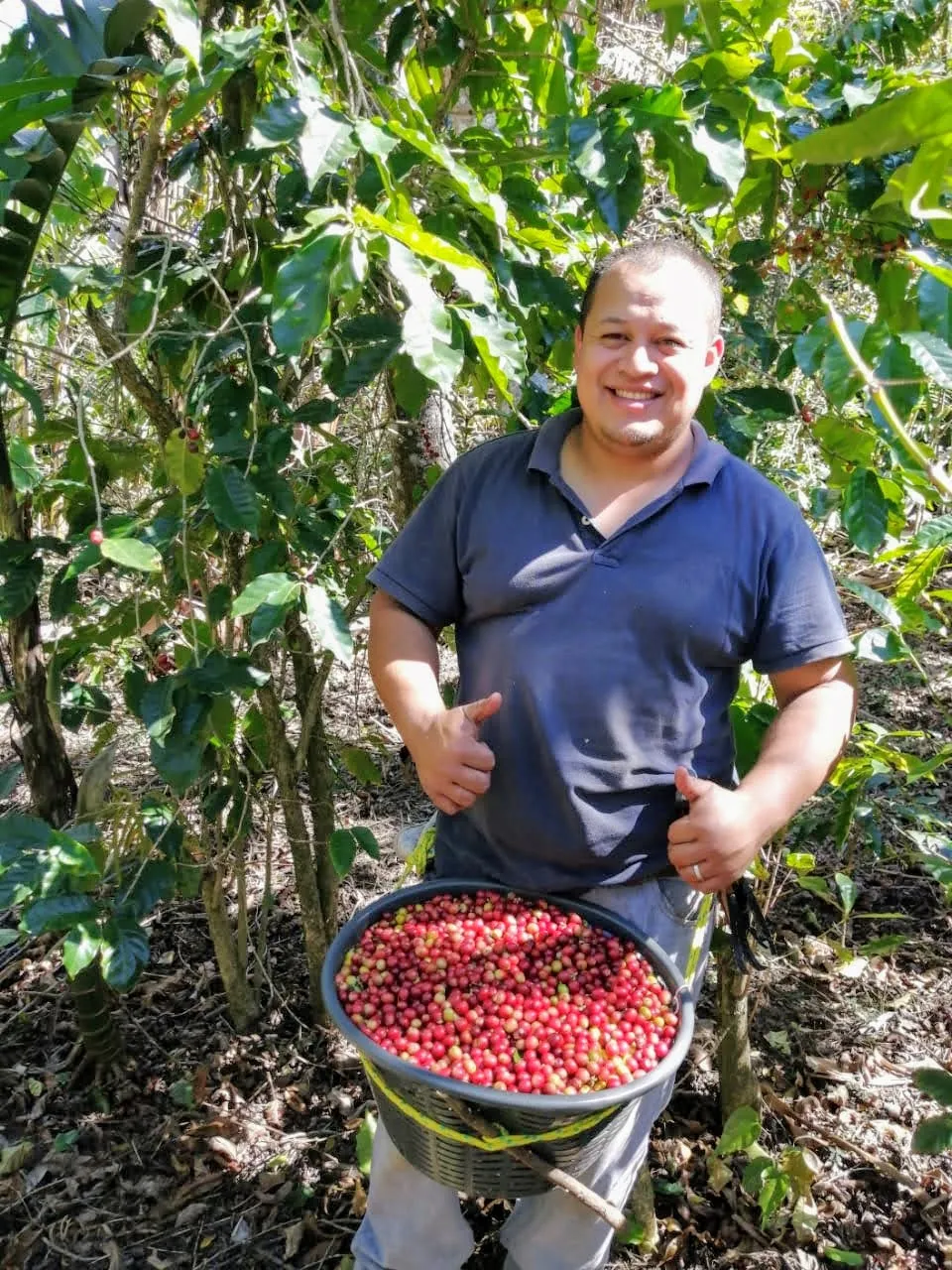 Guatemala Erika Sanchez Washed Arabica Roasted Coffee
