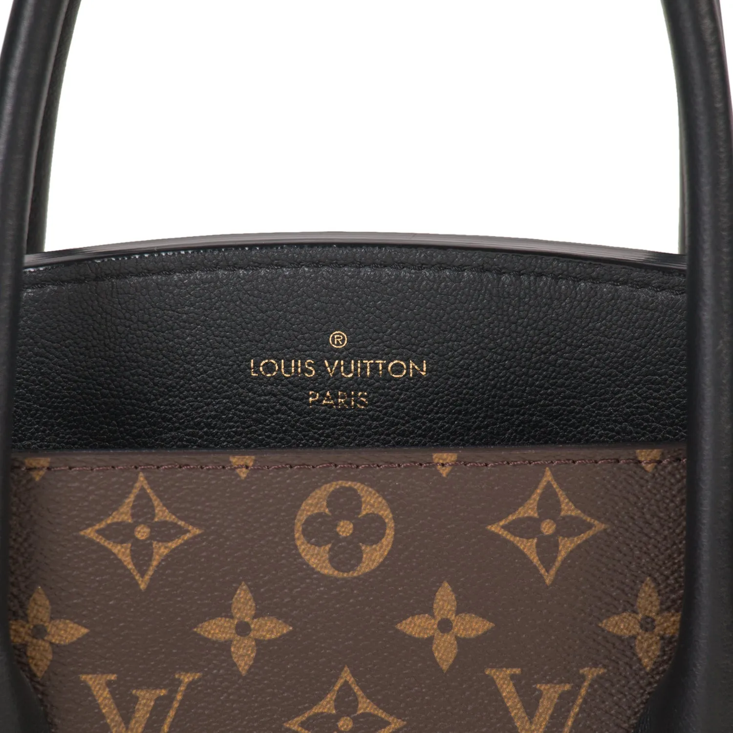 Louis Vuitton Monogram Florine Bag