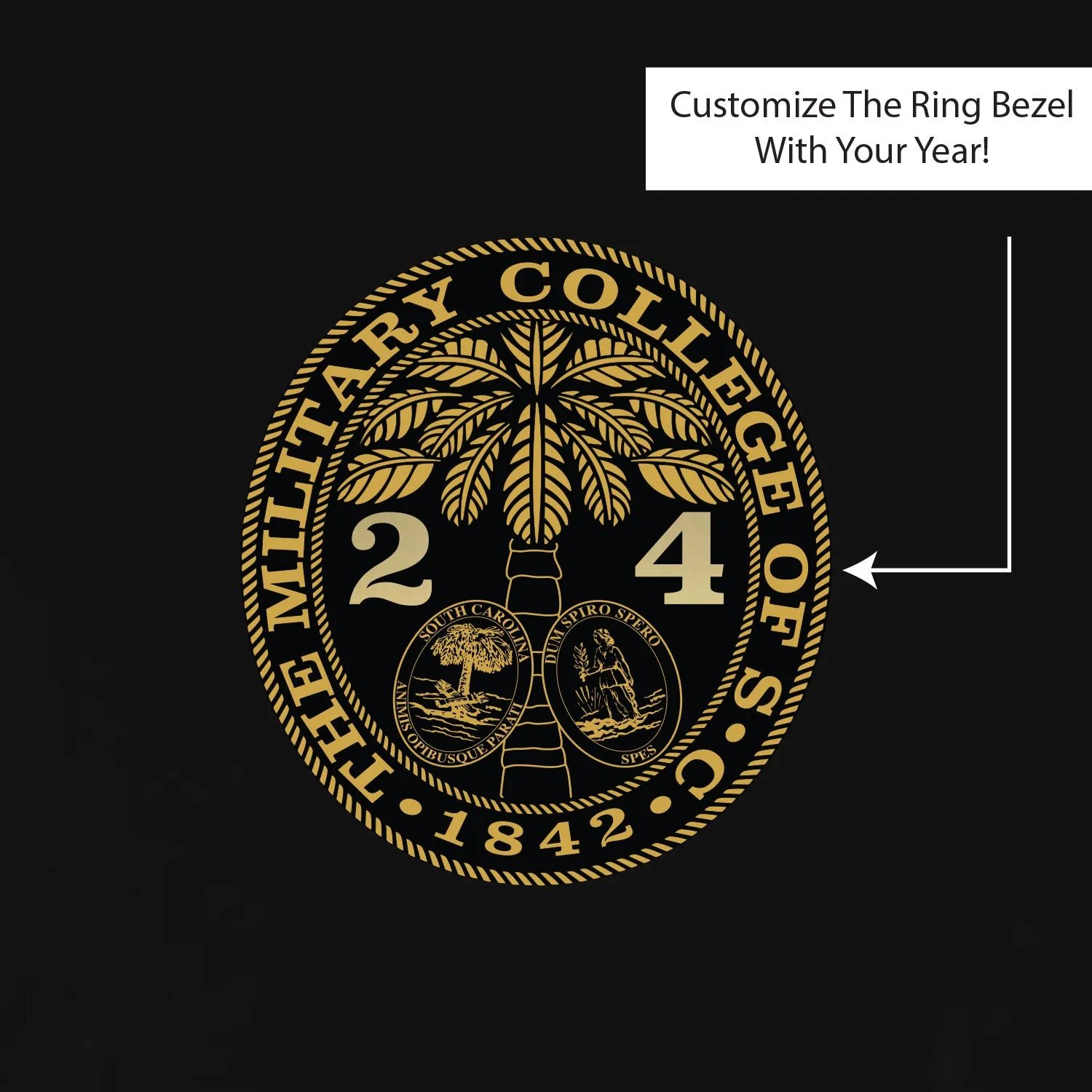 The Citadel, Customizable (Your Year) Ring Bezel Design,  Performance Long Sleeve Tee Shirt